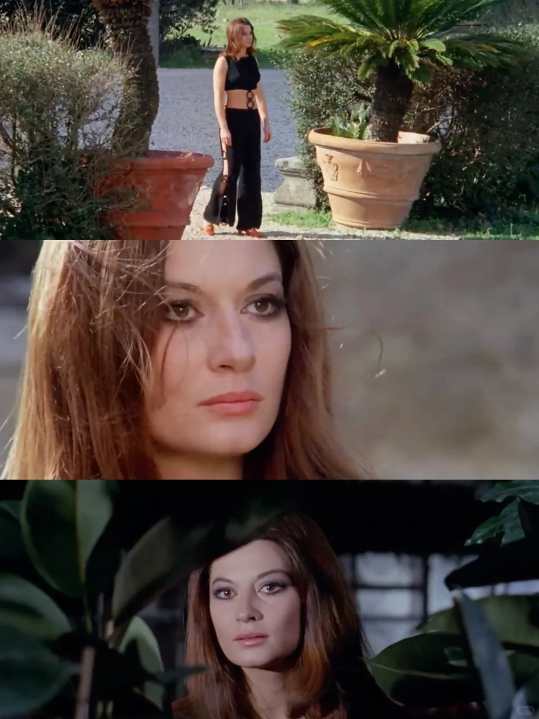 尺度炸裂❗️美女如云❗️女子疗养院的故事