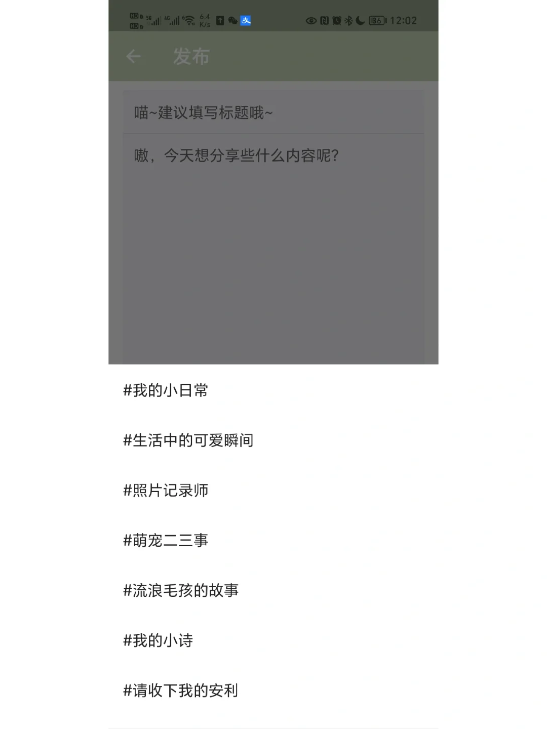 大家快来玩啊！