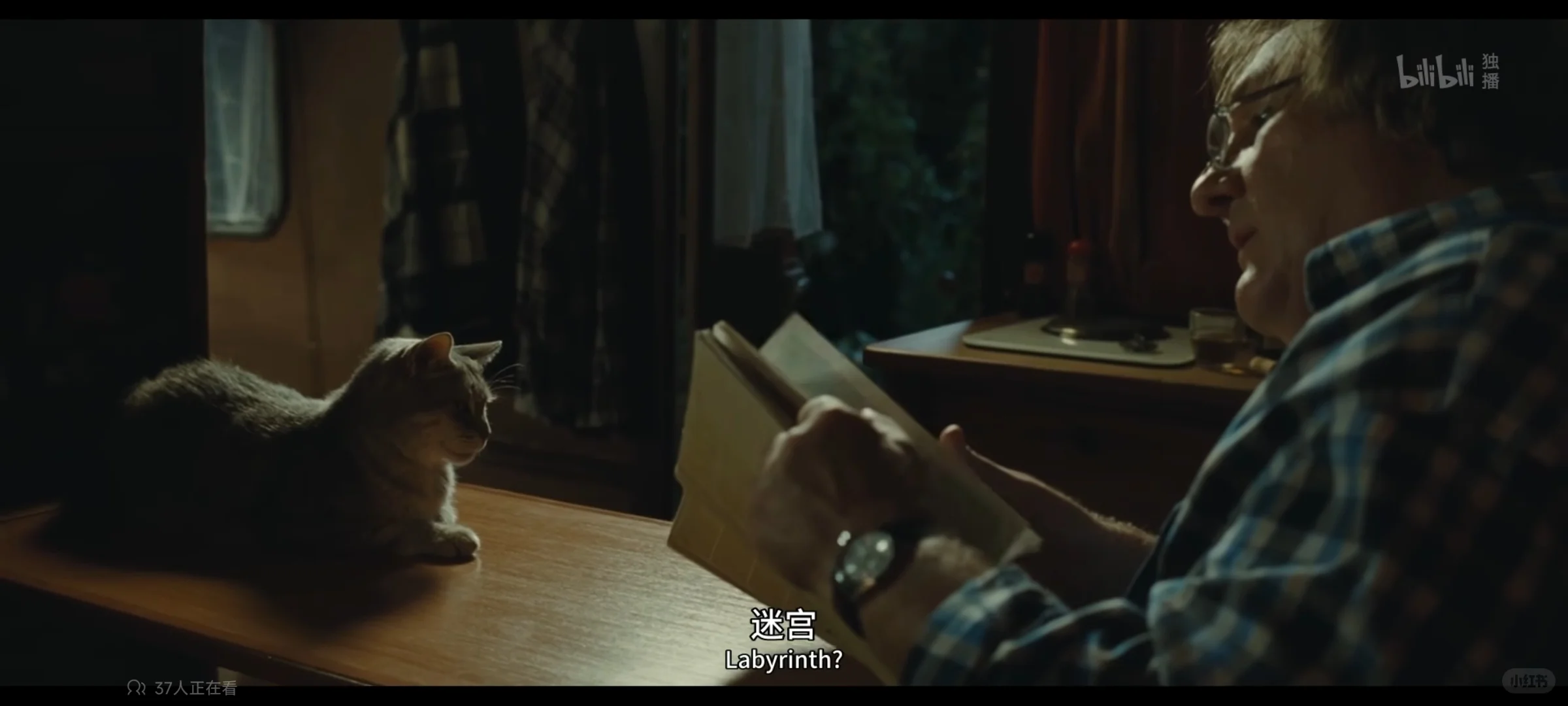 看完眼泪一直流