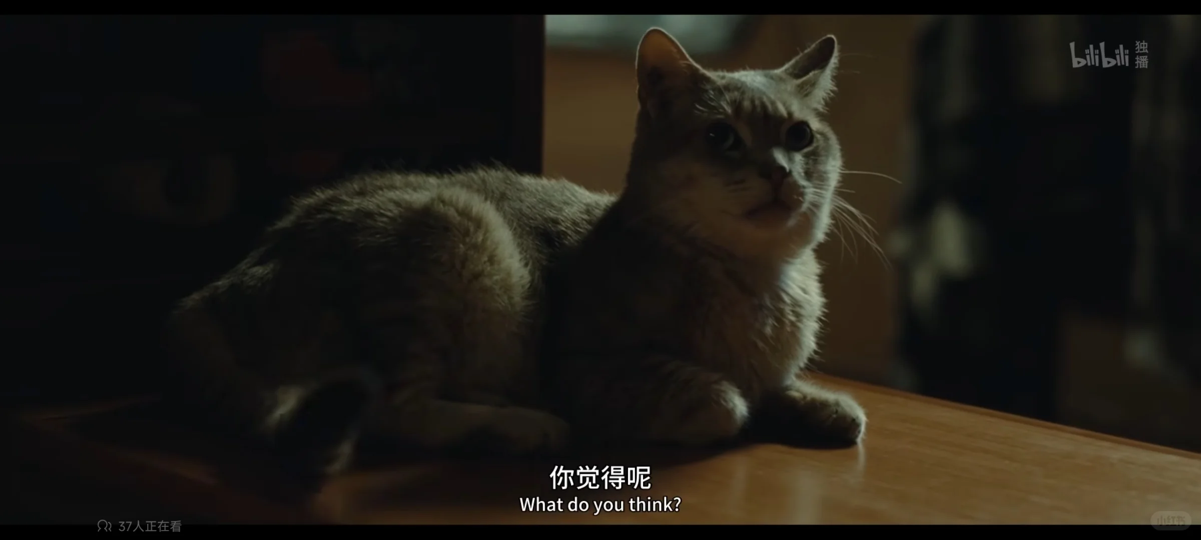 看完眼泪一直流