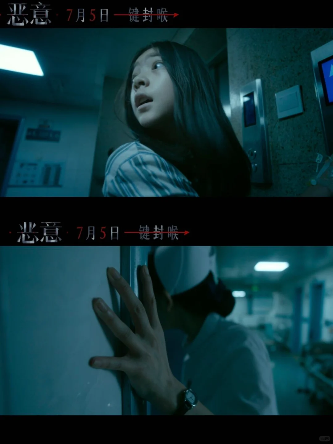 张小斐，绝对是个狠人。