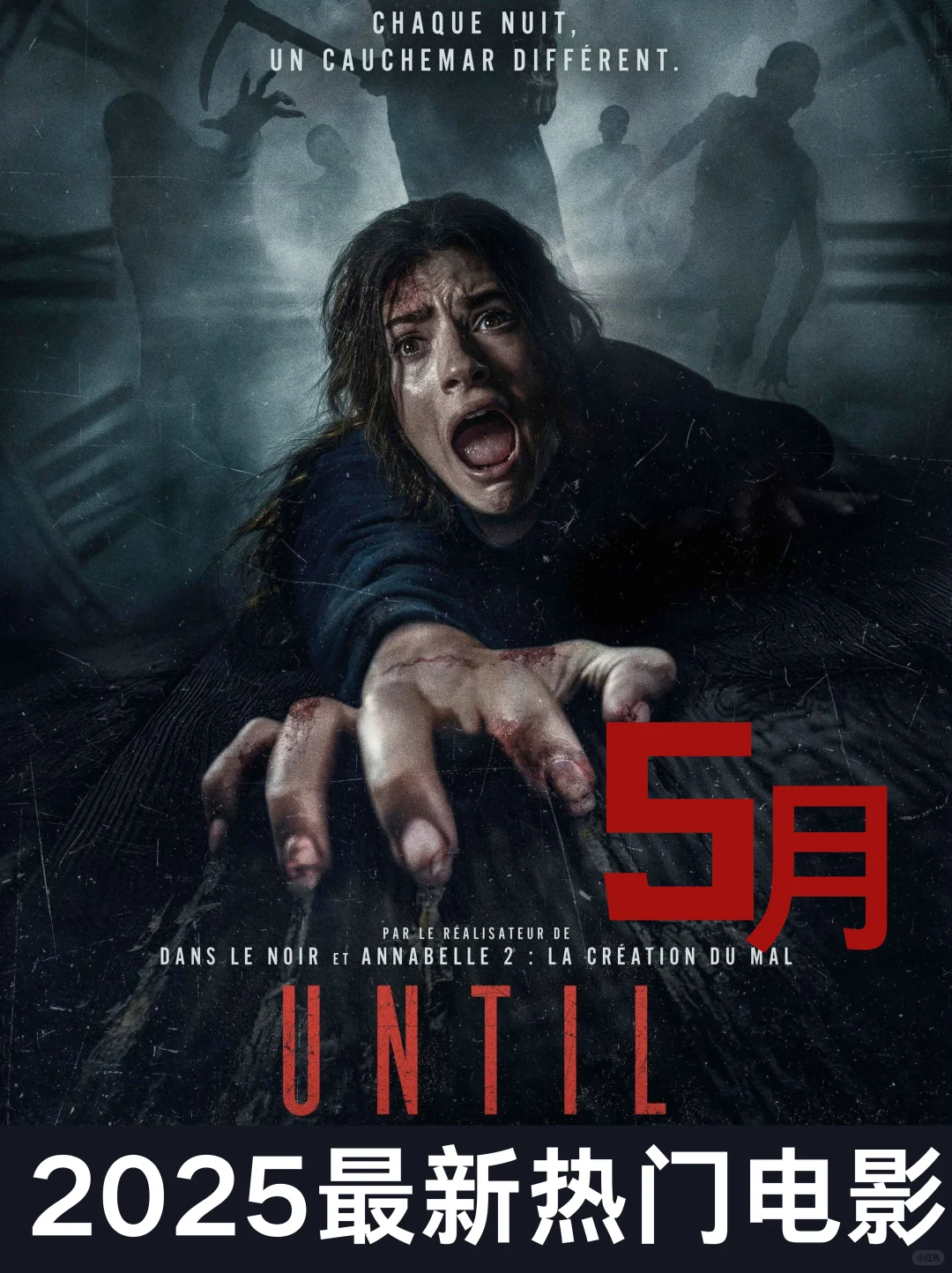 2025年5月必看指南，这部R级太炸裂了