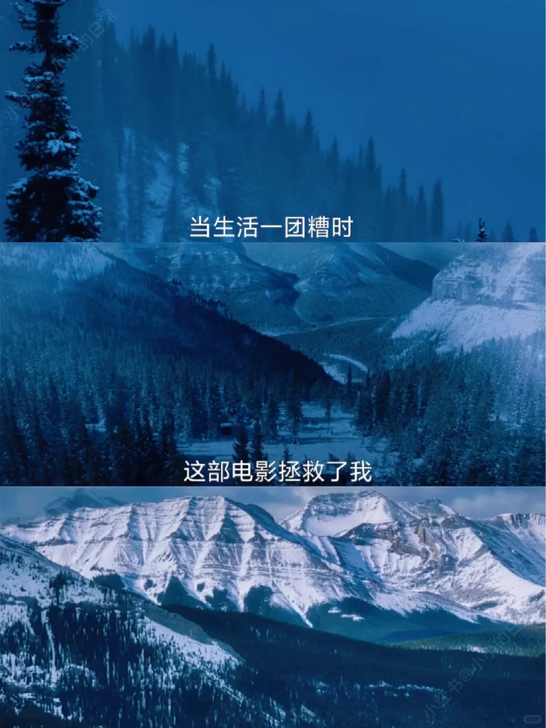 目前为止最爱的人生电影，没有之一❗❗❗