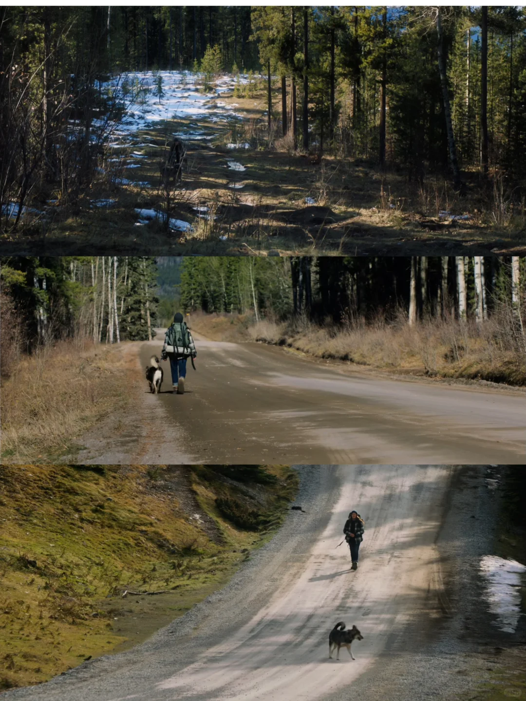 看哭了！😭😭本人今年最爱的电影之一！