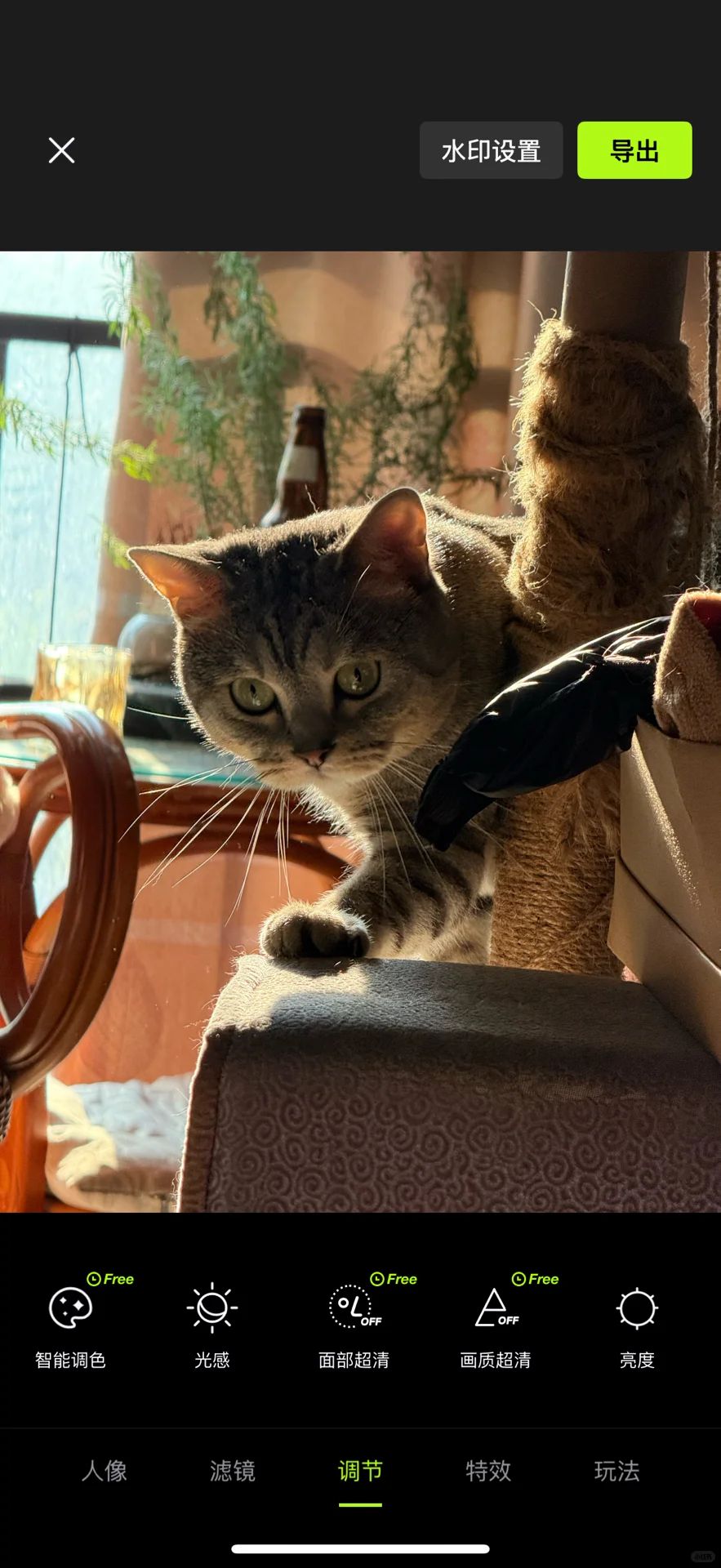 醒图永久会员👇