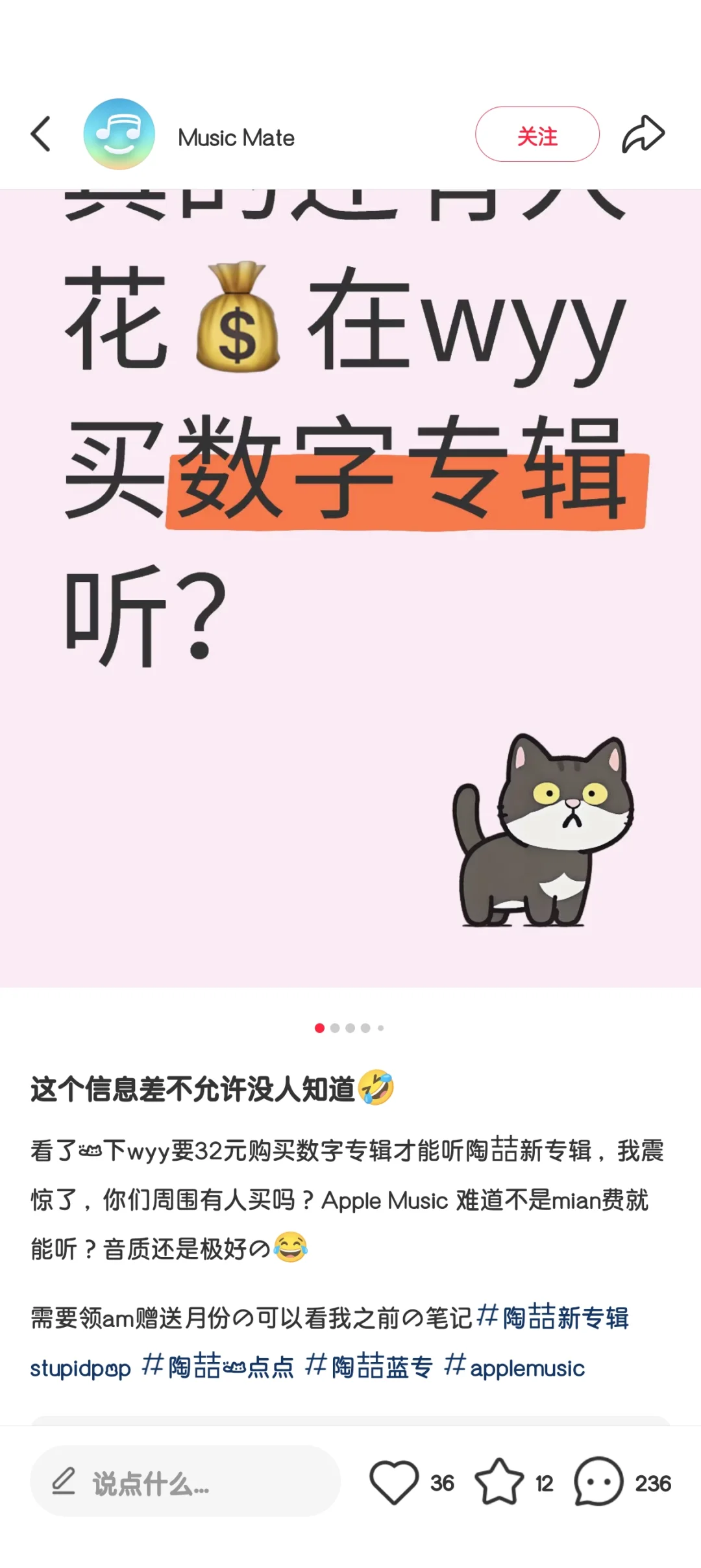 自用避雷笔记-软件Music Mate