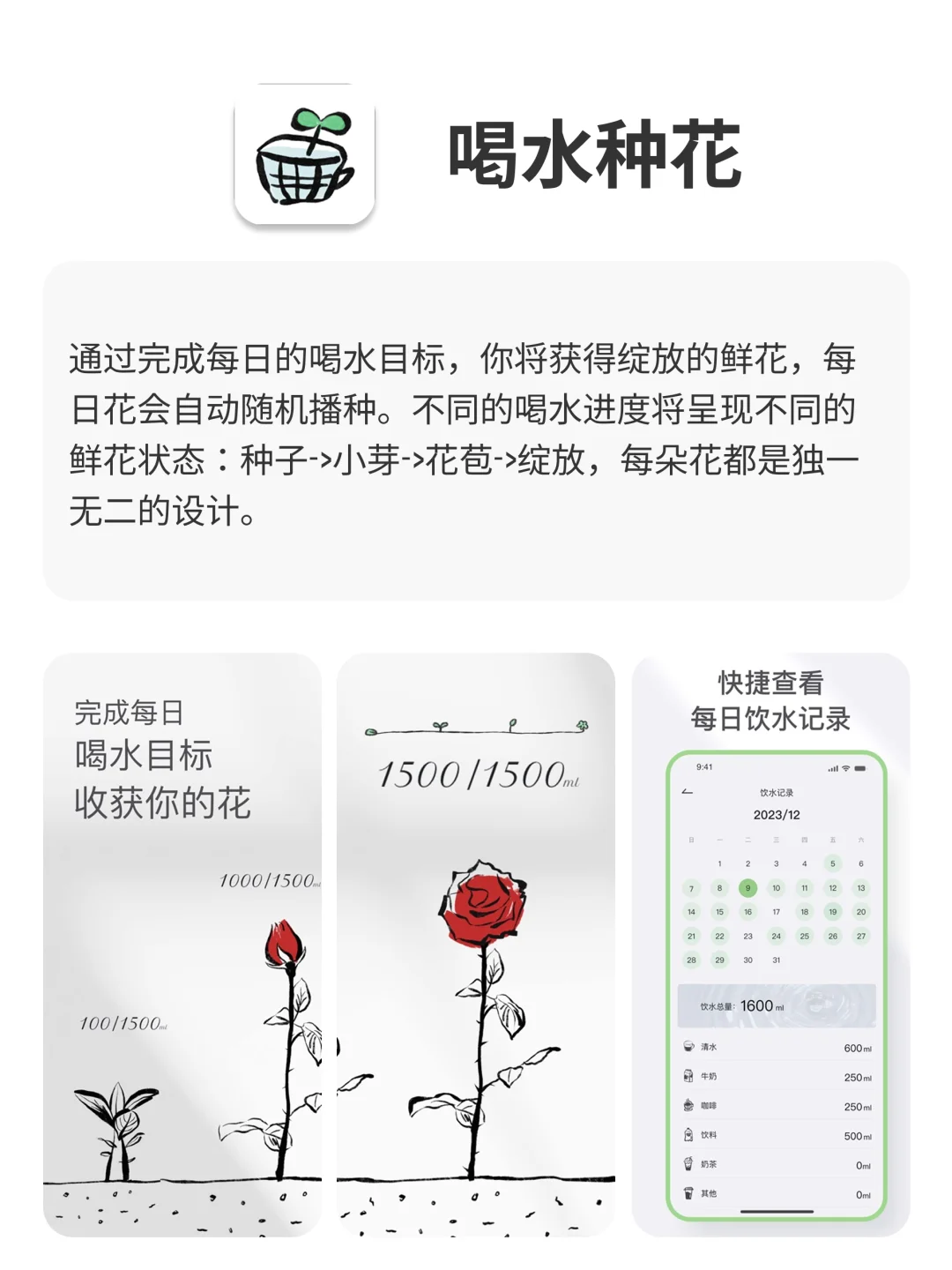 回家独处可以玩的APP，小众有趣，治愈内心✅