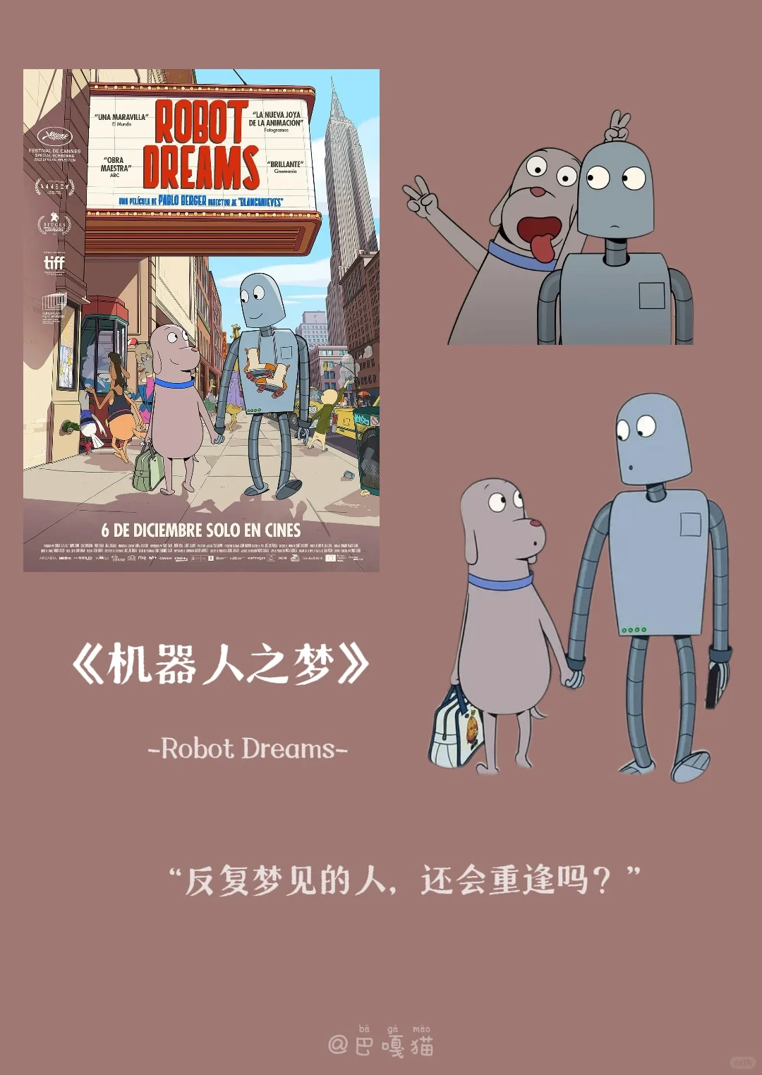 2024我的十部年度电影