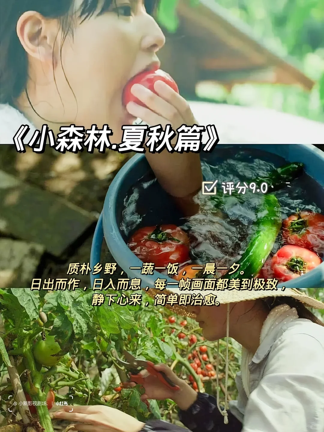 ✨💊精神内耗自救片单！这10部治愈到爆哭