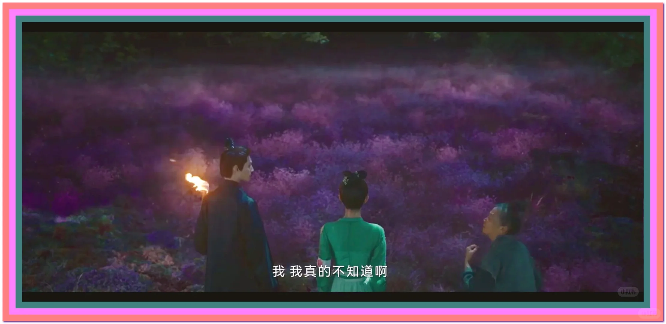 这是我用过最好用的追剧app