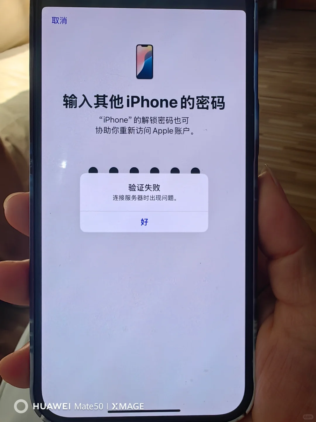 求解，苹果下载软件的那个应用这样了怎么办