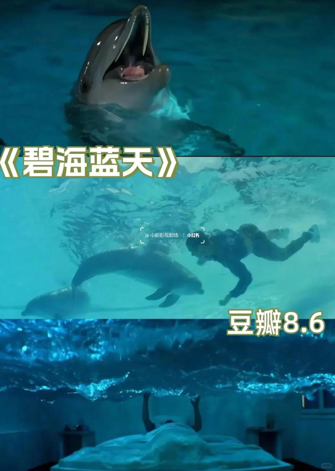 💫 必看治愈系电影合集，心都被暖化了！🎬