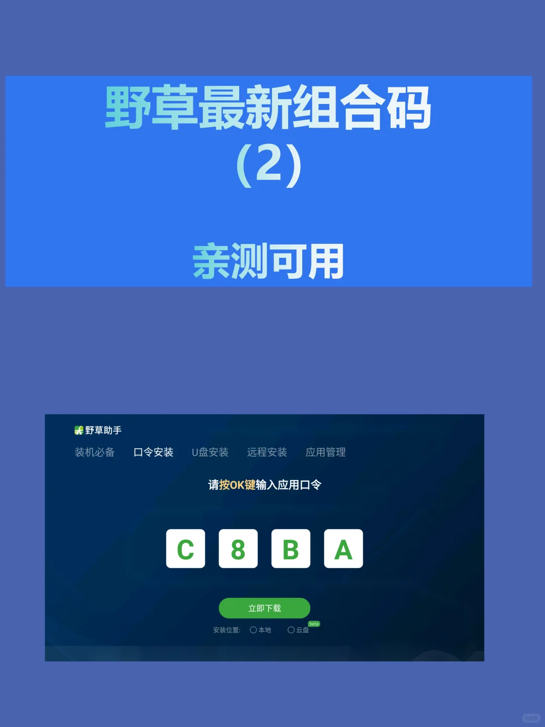 今日野草助手最新组合口令分享