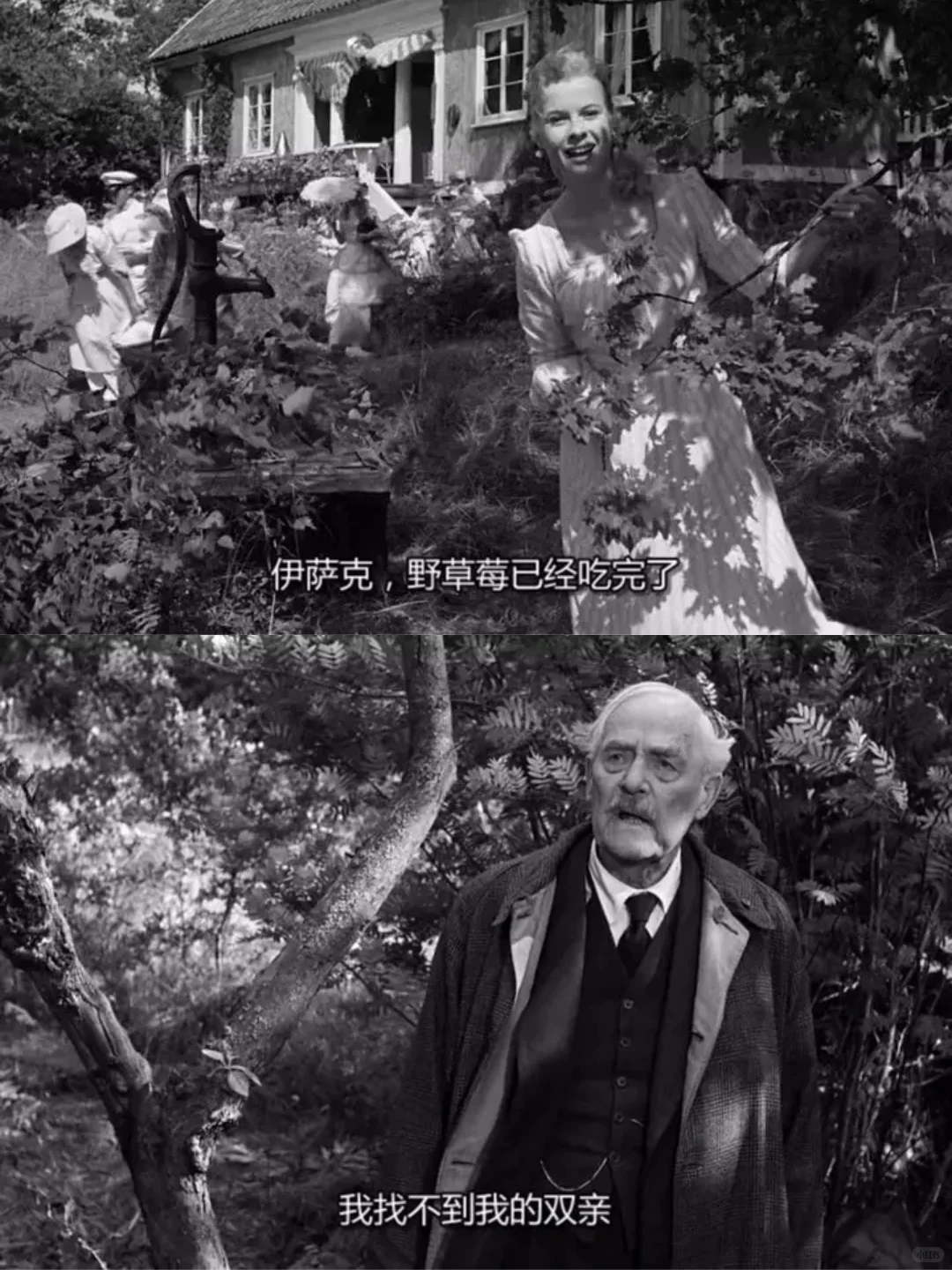 余华看完这部电影，震惊的走了三十公里路