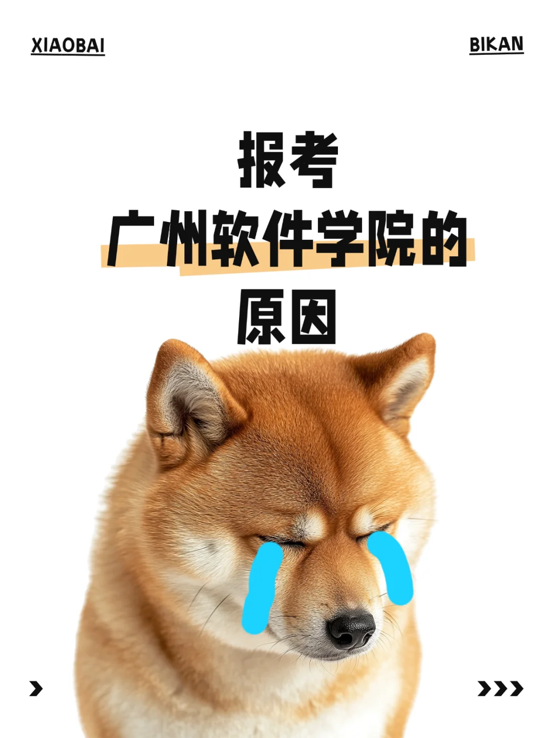 报考广州软件学院的原因