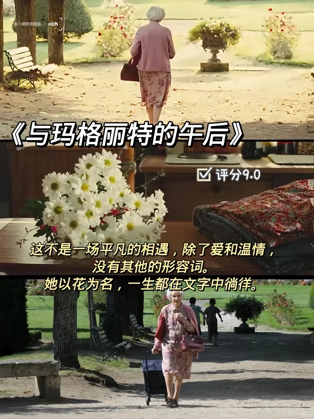 ✨💊精神内耗自救片单！这10部治愈到爆哭