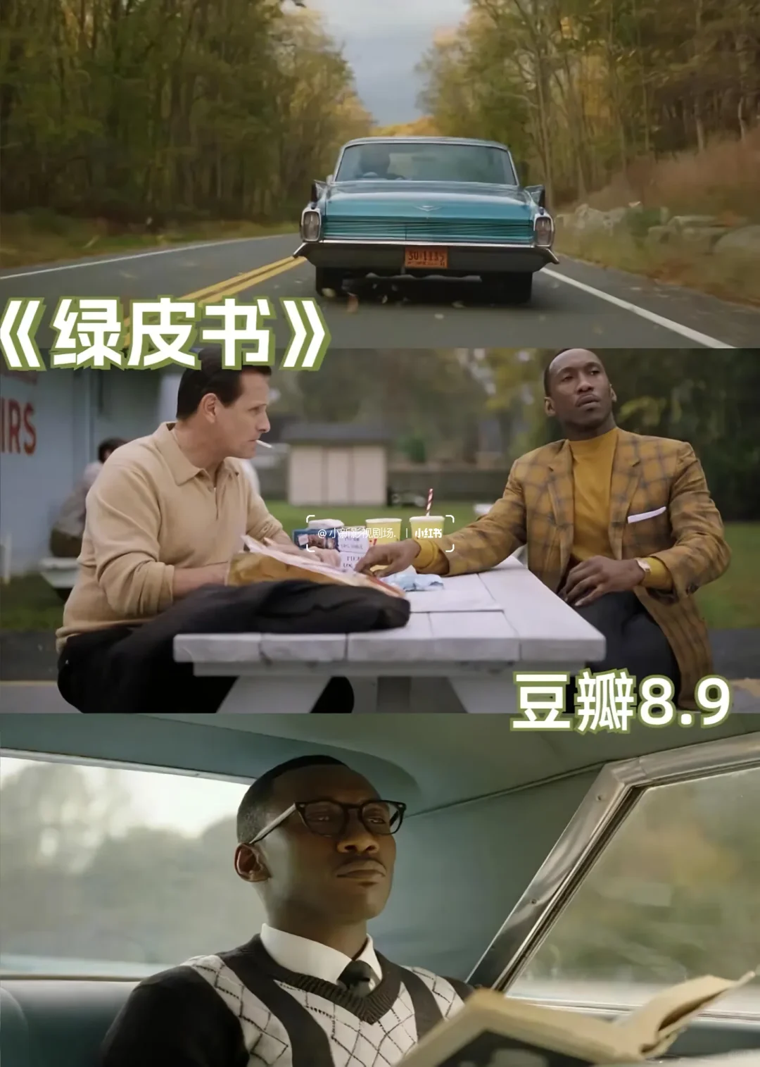 💫 必看治愈系电影合集，心都被暖化了！🎬