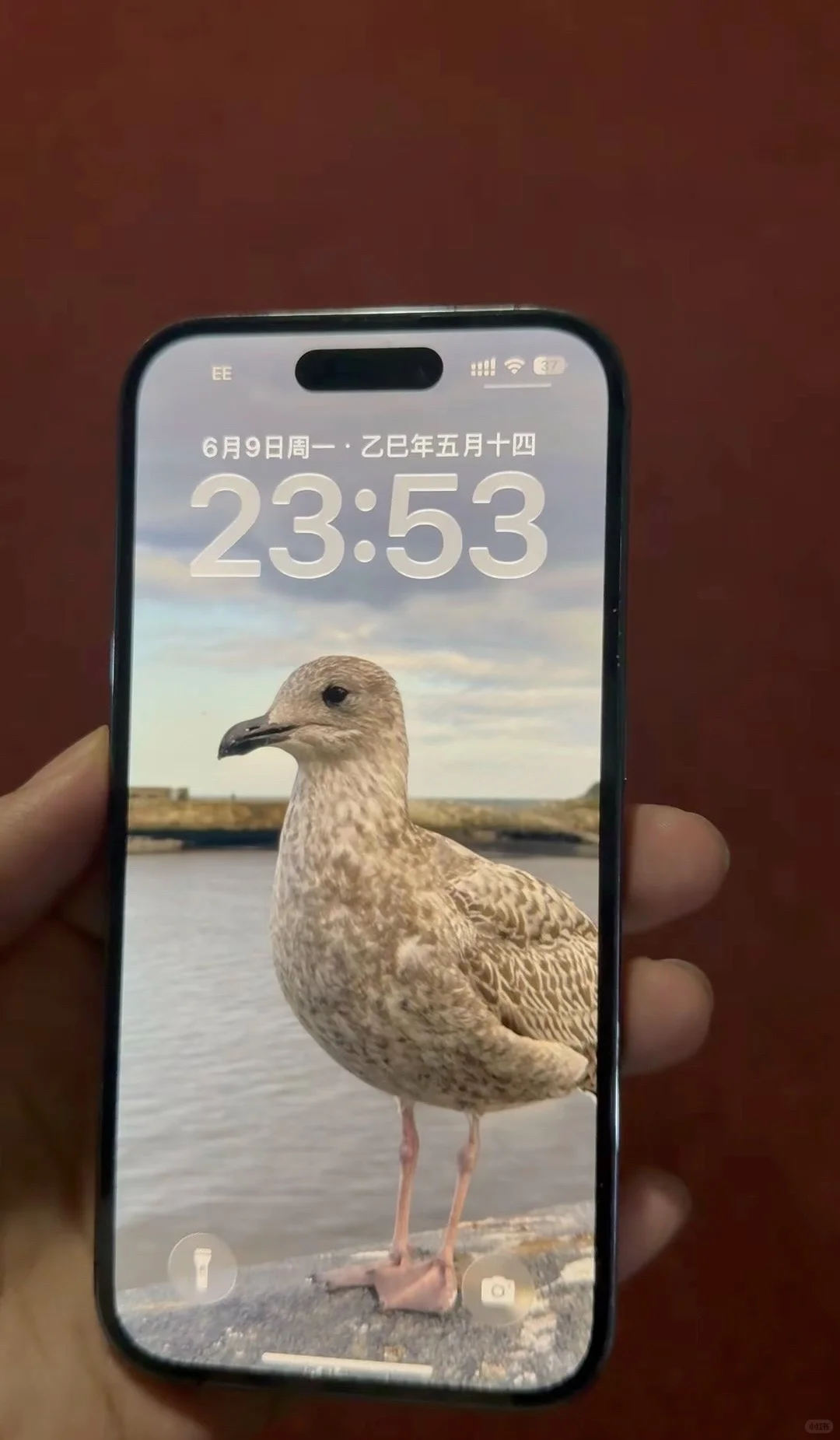 iOS 26最值得的功能🔥绝绝子简直太酷了