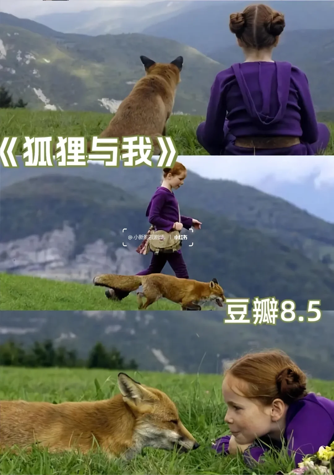 💫 必看治愈系电影合集，心都被暖化了！🎬