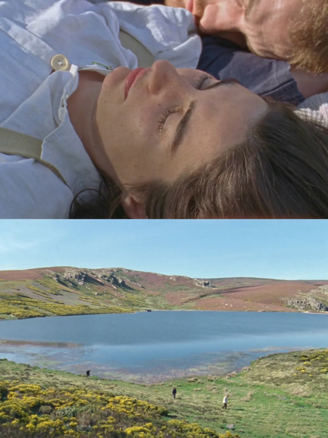 🎬观影记录｜《水后》 . 2022