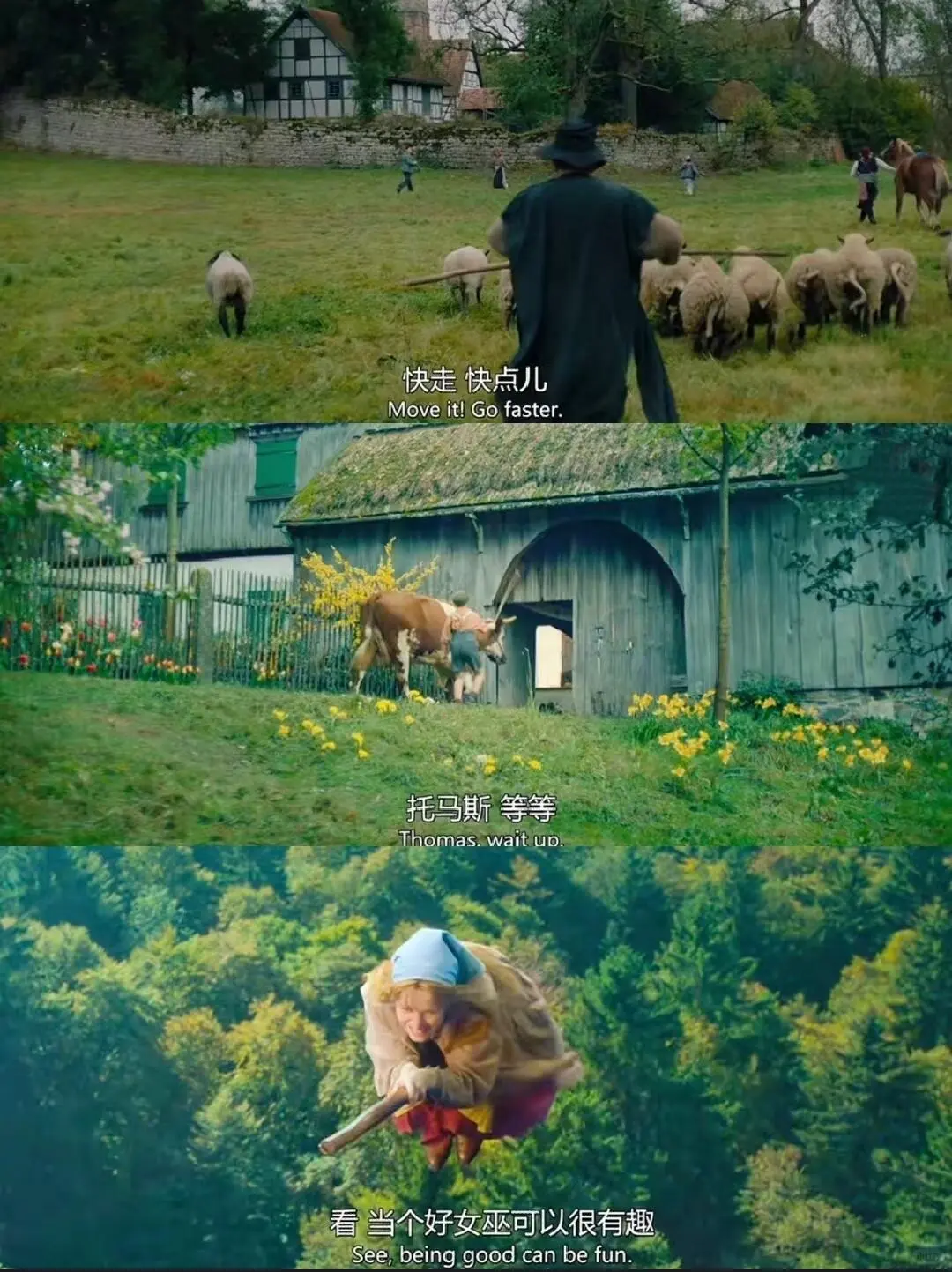 这么好看的电影我怎么才发现，太治愈了❗