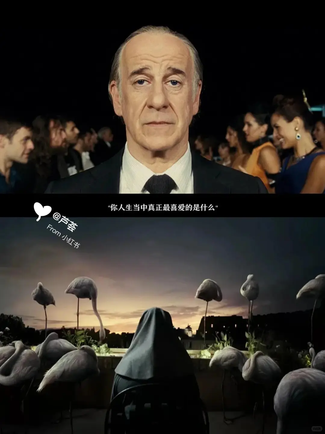 巨好看😭近期看过最好看的电影❗️❗️