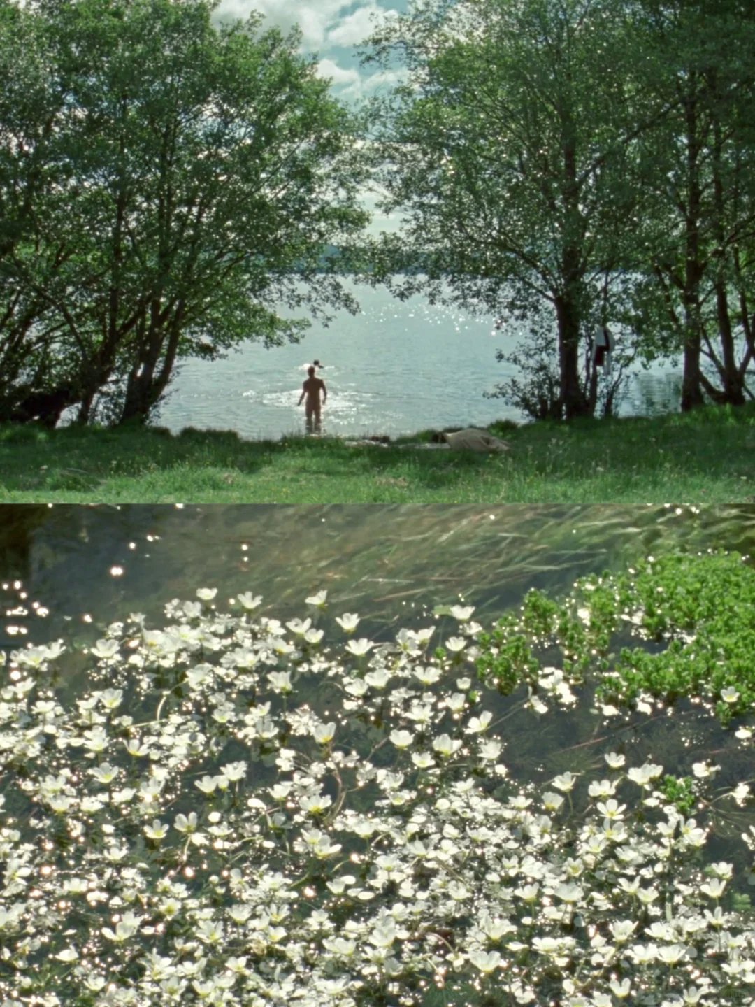 🎬观影记录｜《水后》 . 2022