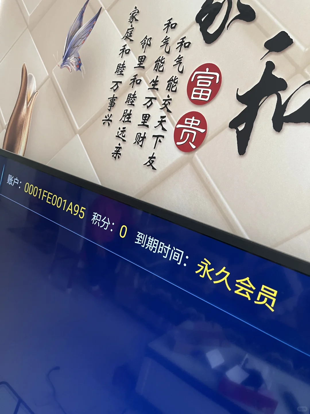 🆓免费电视啦！