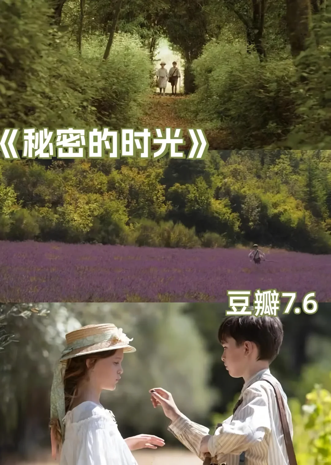 💫 必看治愈系电影合集，心都被暖化了！🎬