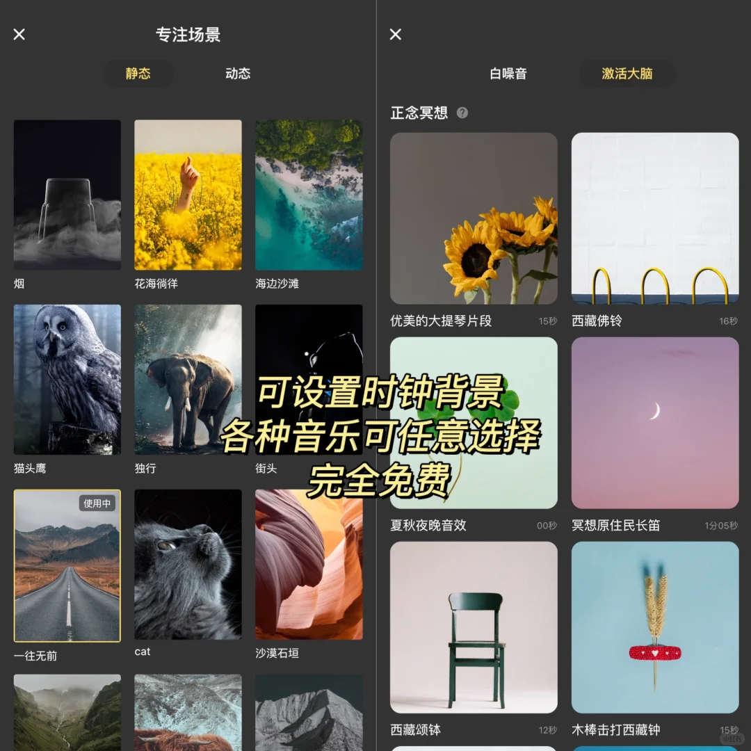 杀疯了‼️一定要试试这个yyds的学习软件