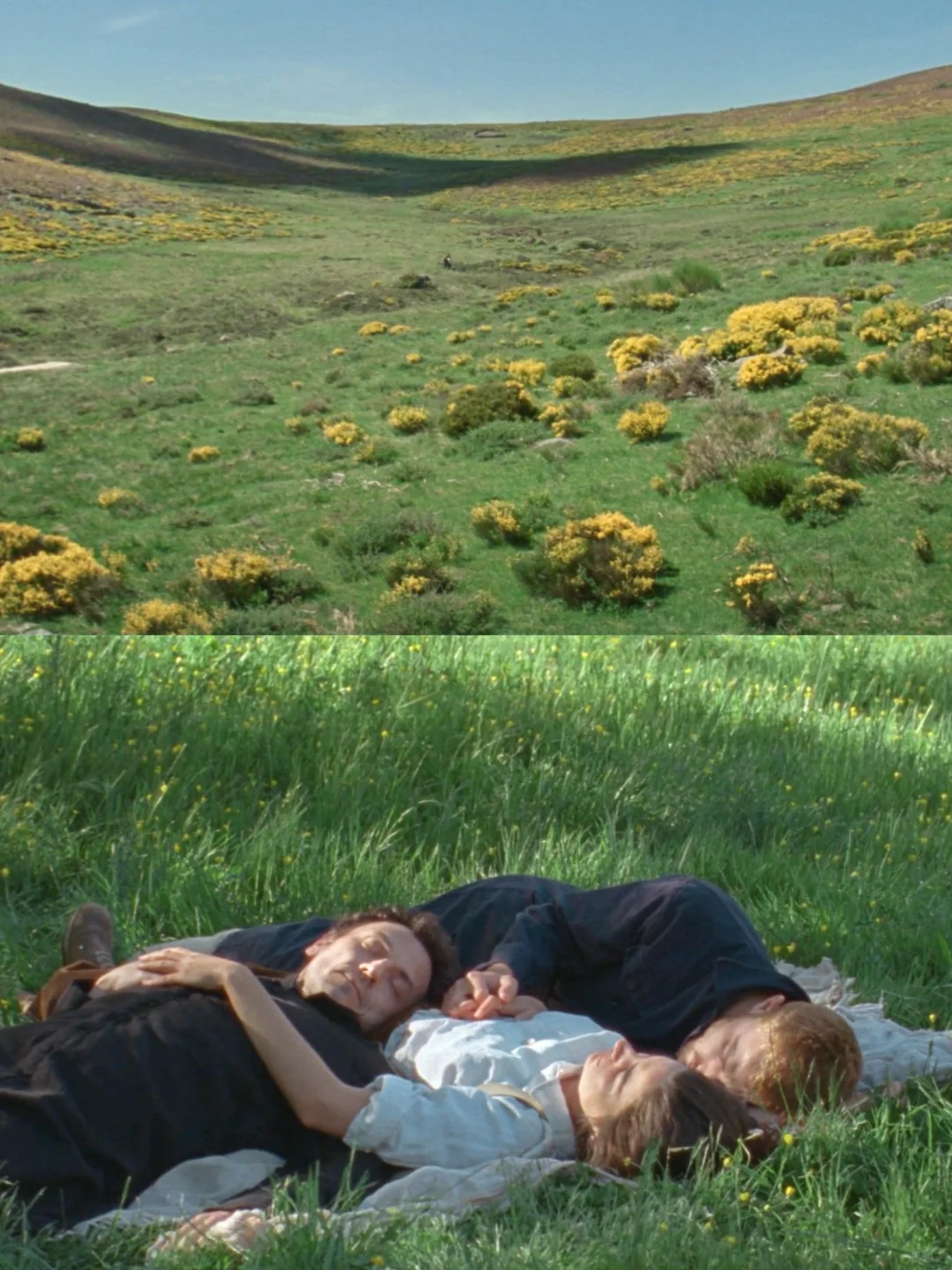 🎬观影记录｜《水后》 . 2022