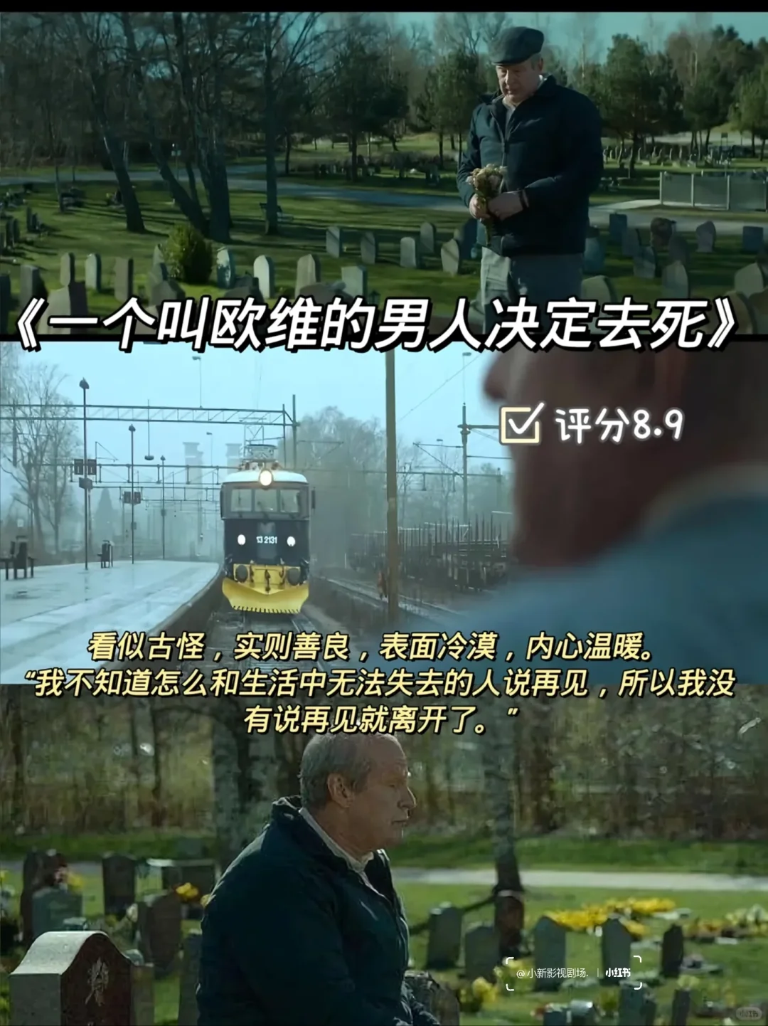 ✨💊精神内耗自救片单！这10部治愈到爆哭