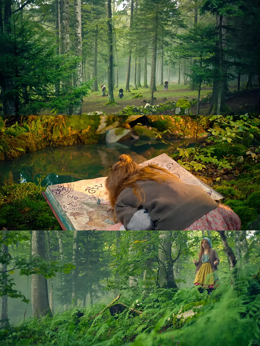 这么好看的电影我怎么才发现，太治愈了❗