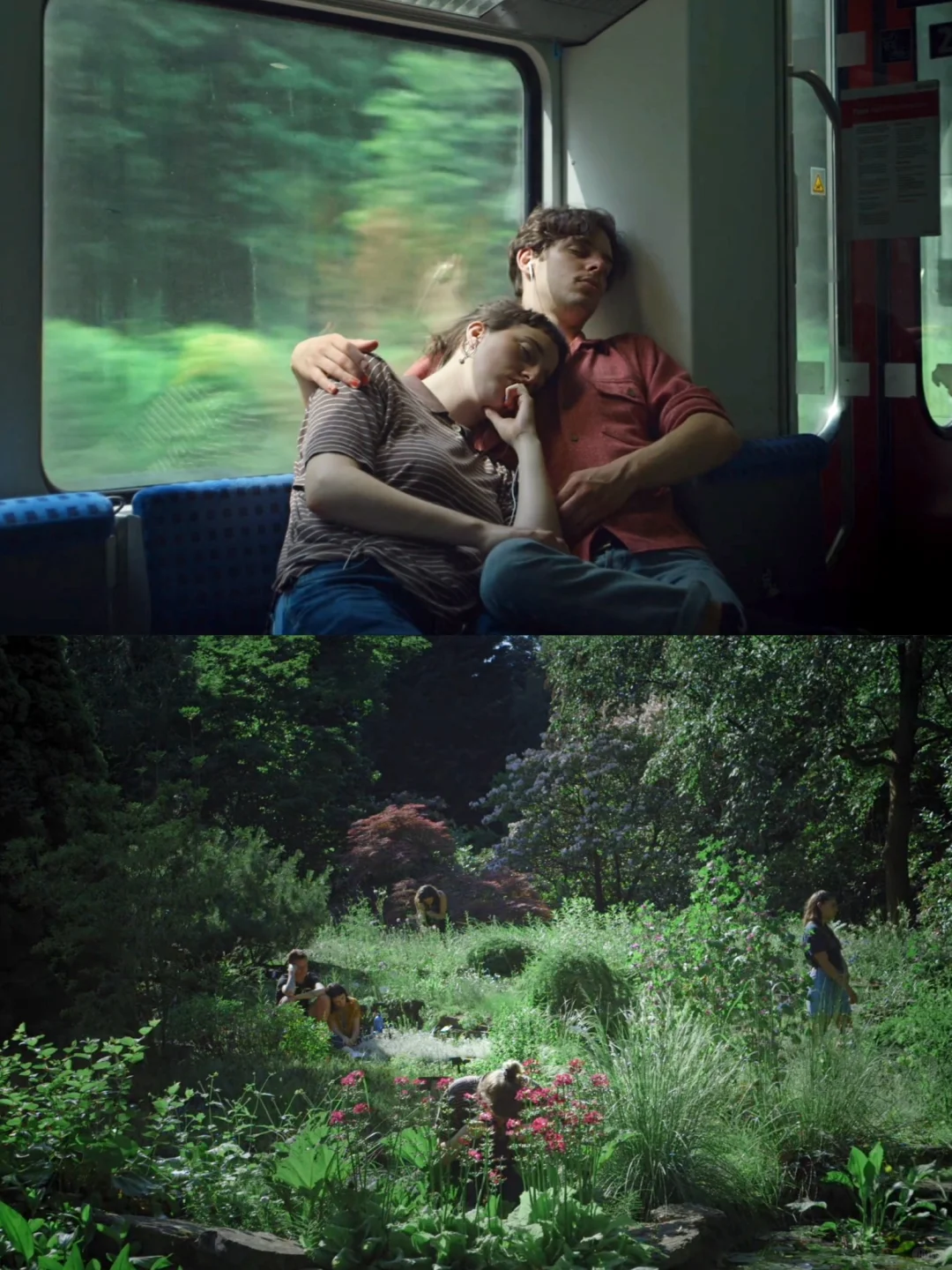 🎬观影记录｜《水后》 . 2022