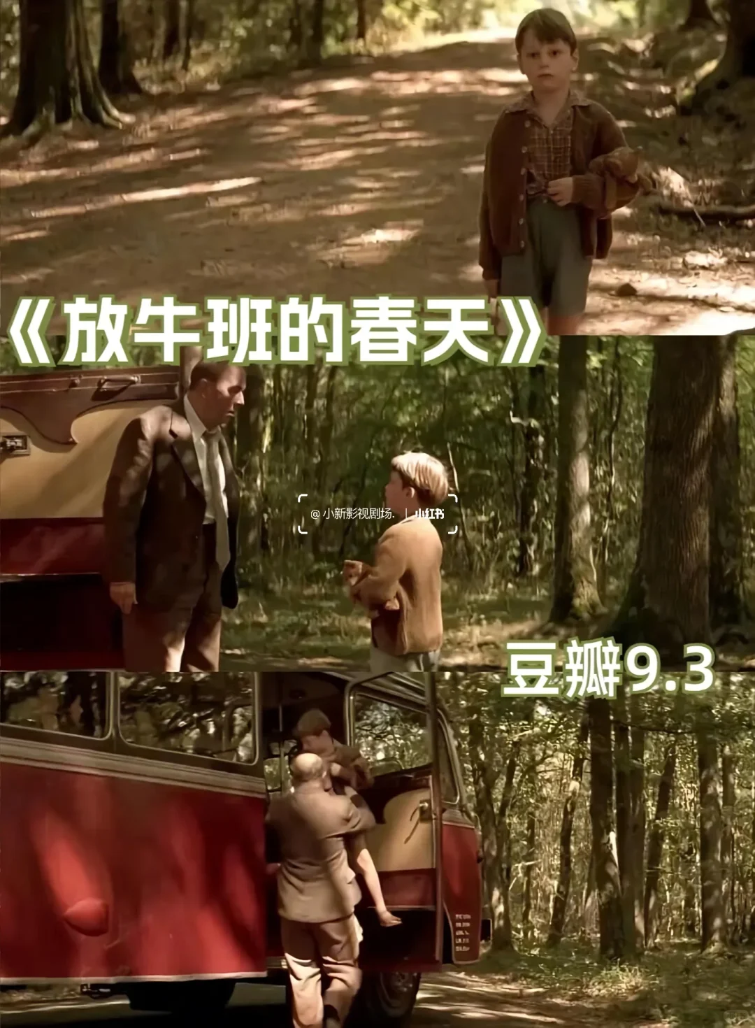 💫 必看治愈系电影合集，心都被暖化了！🎬