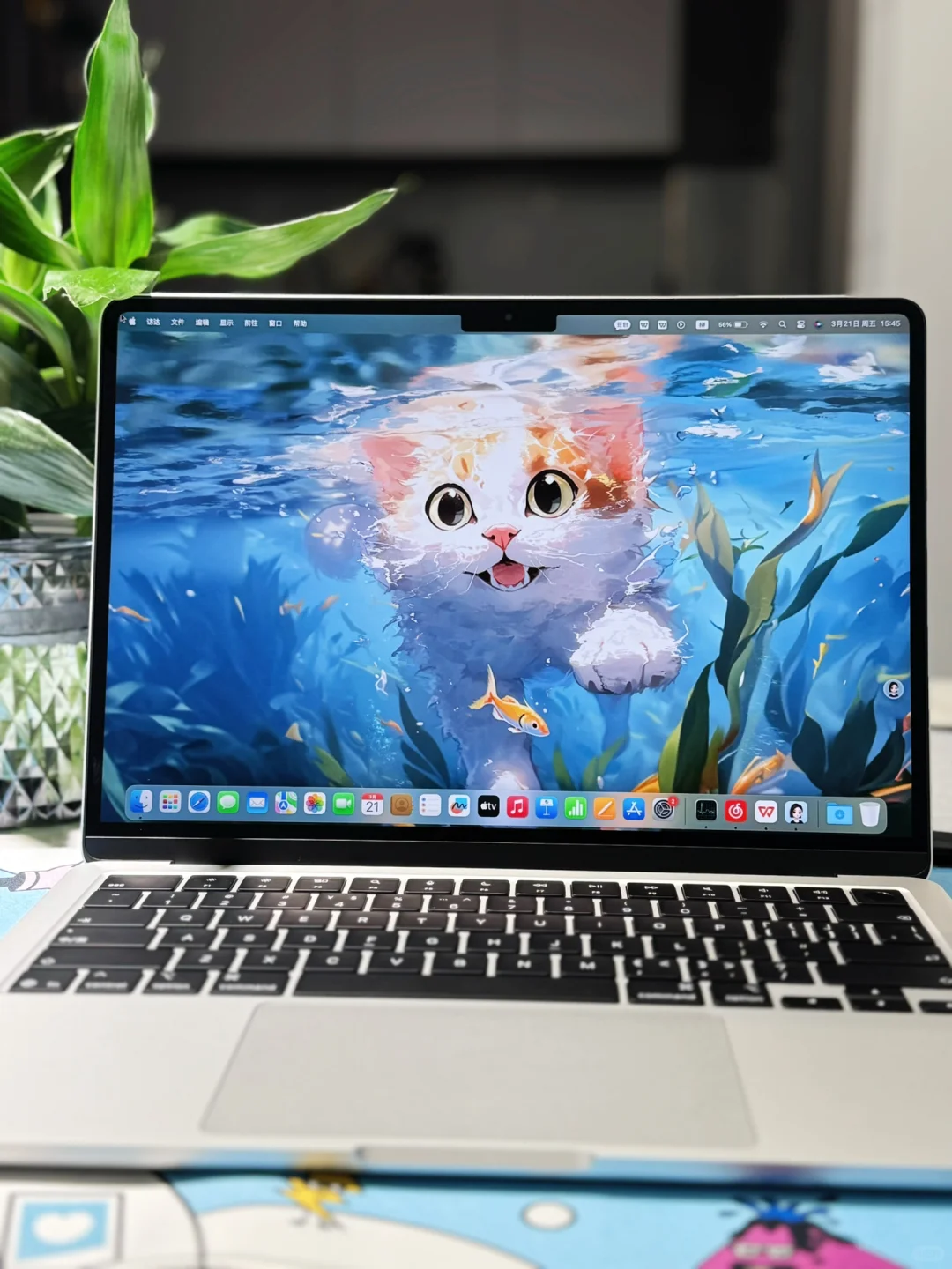 求求大佬们，推荐一下好用的mac软件！