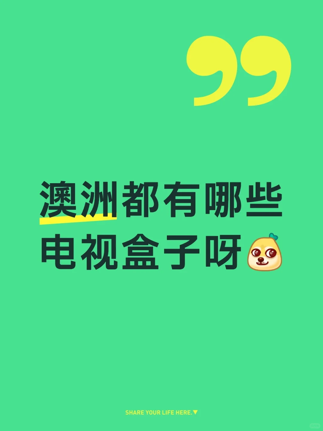 澳洲都有哪些电视盒子呀