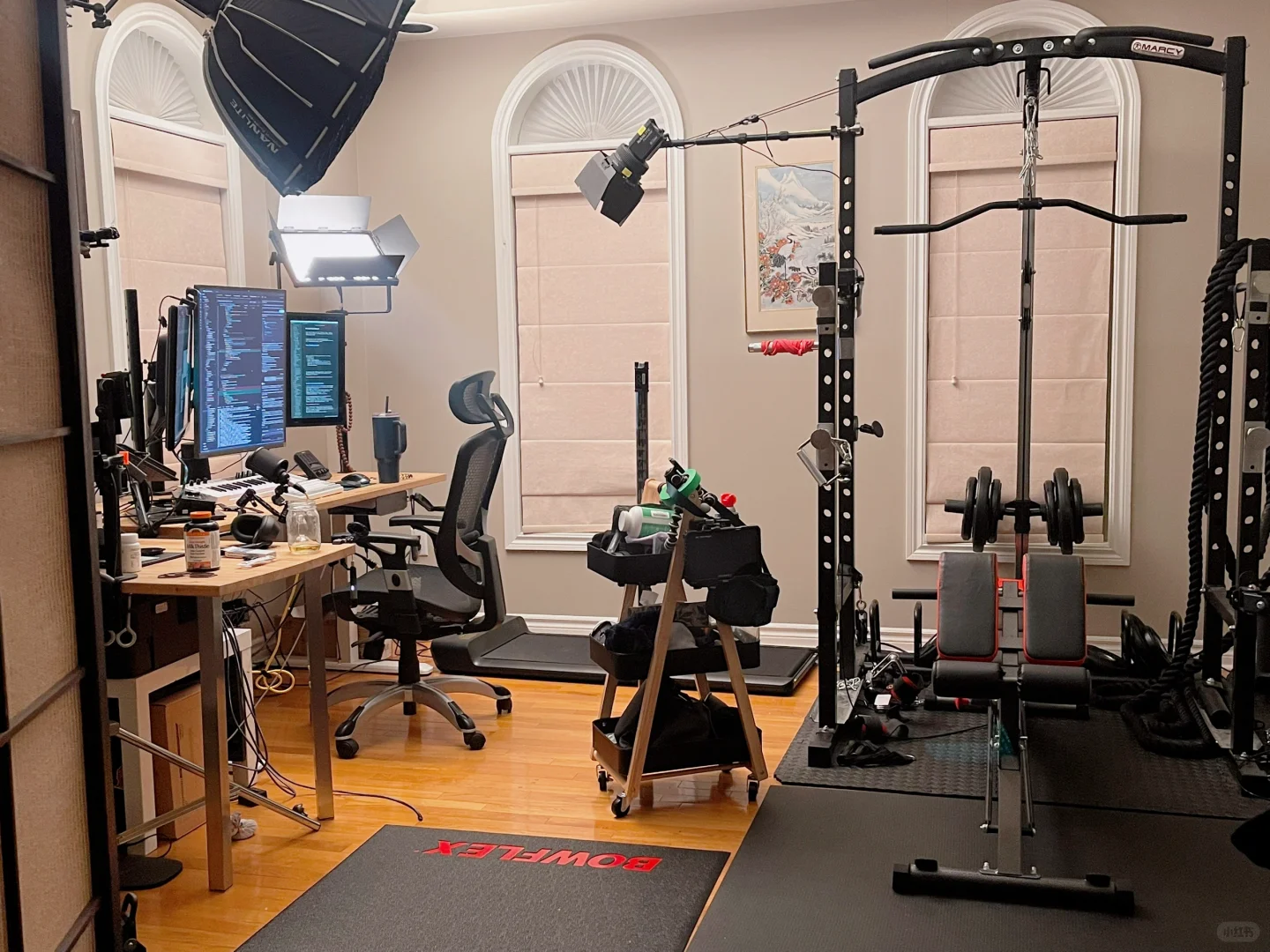 今年目前净在写代码了