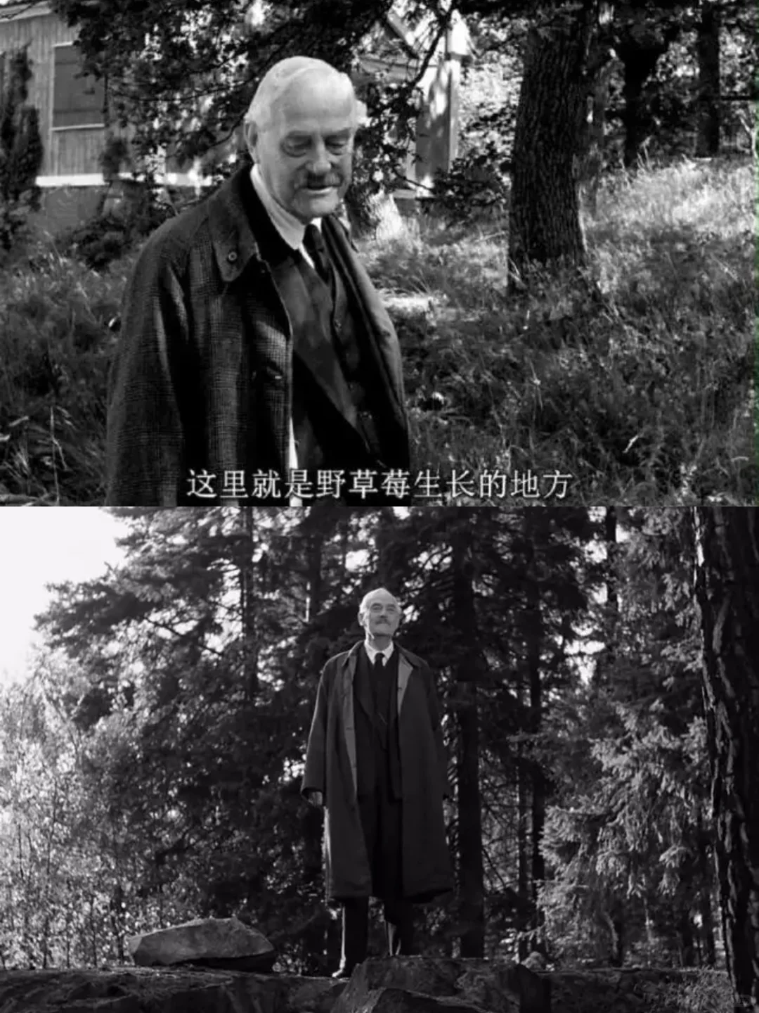 余华看完这部电影，震惊的走了三十公里路