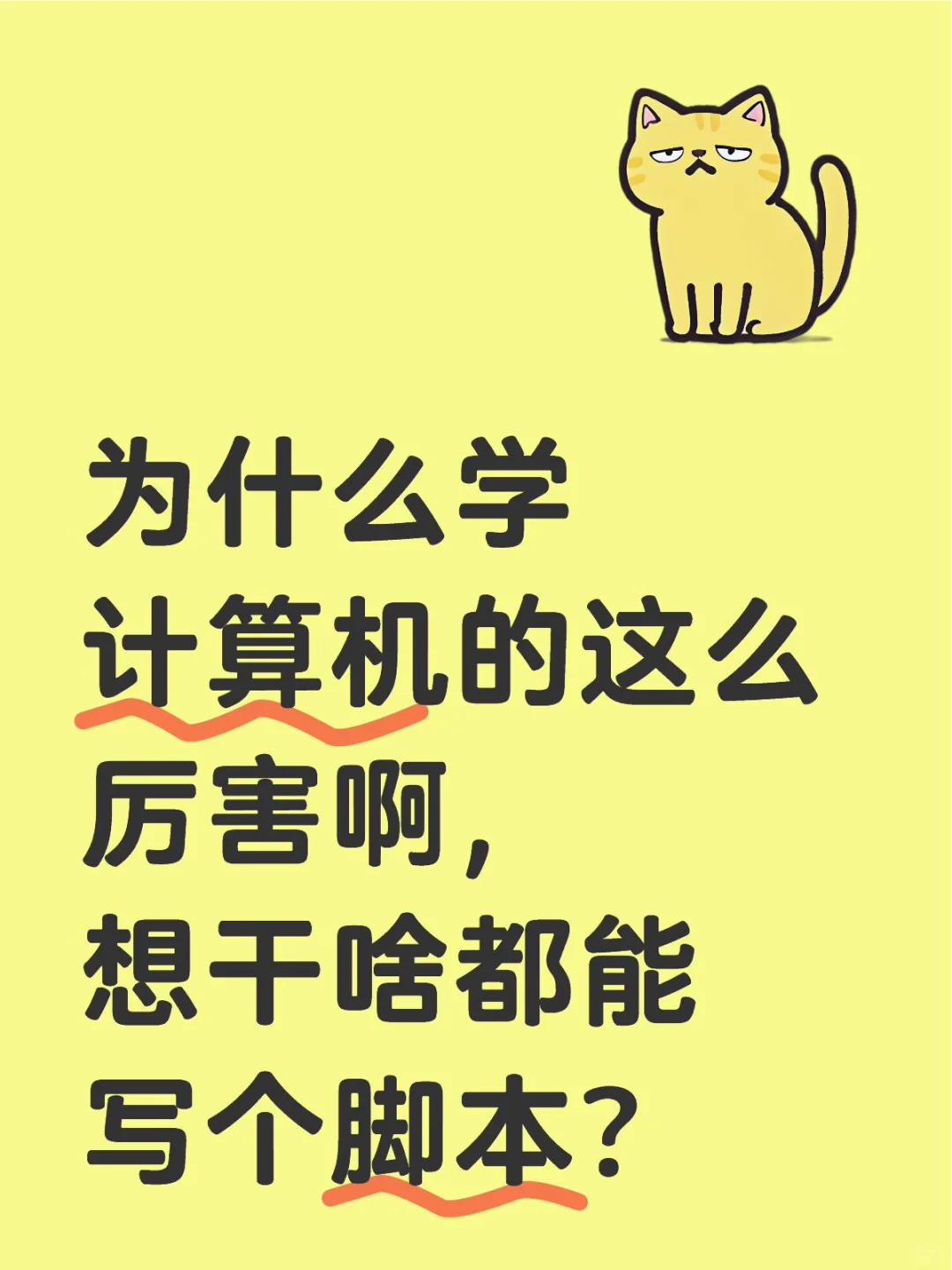 脚本可抵万物？