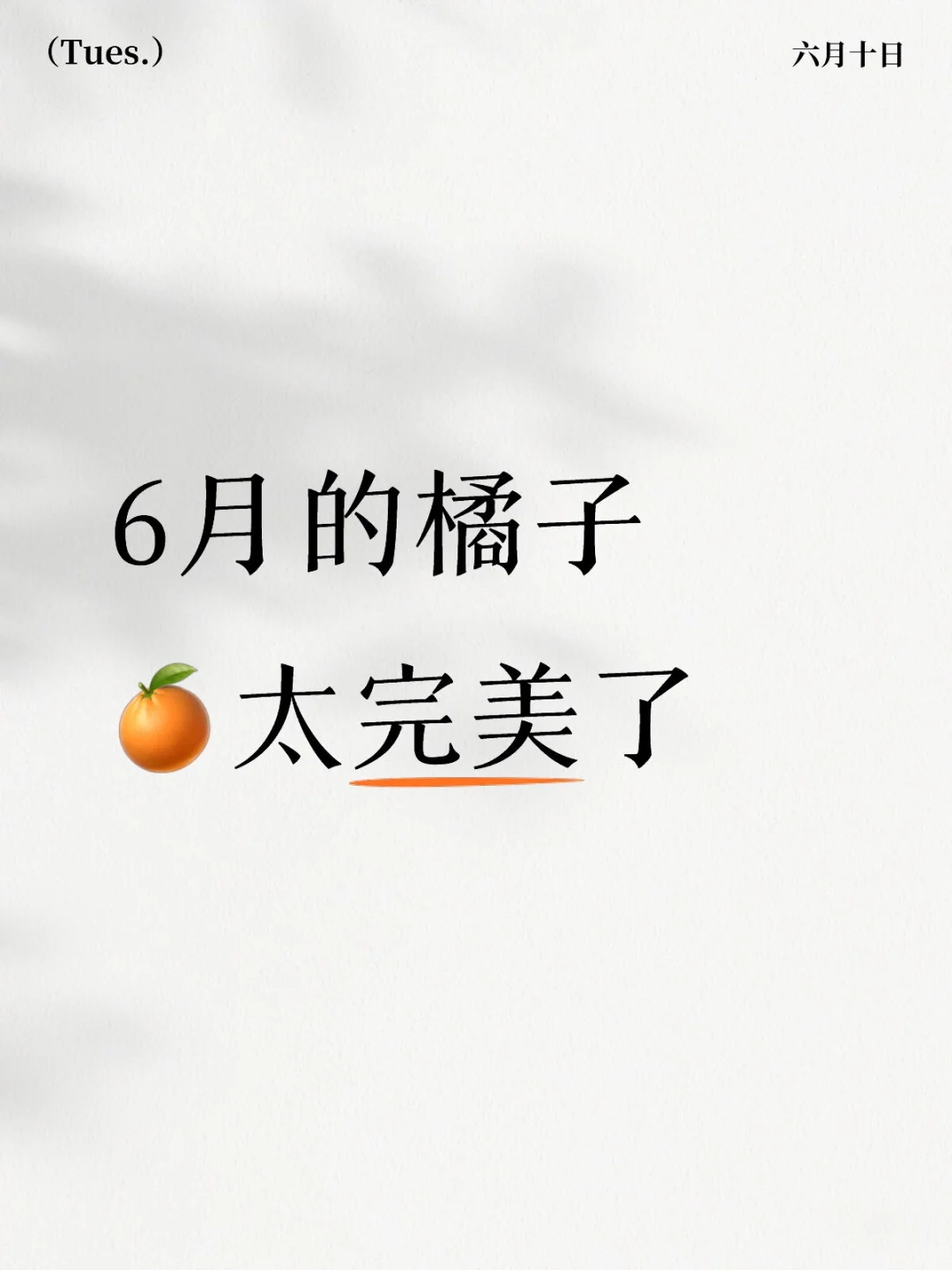 我的橘子回来了