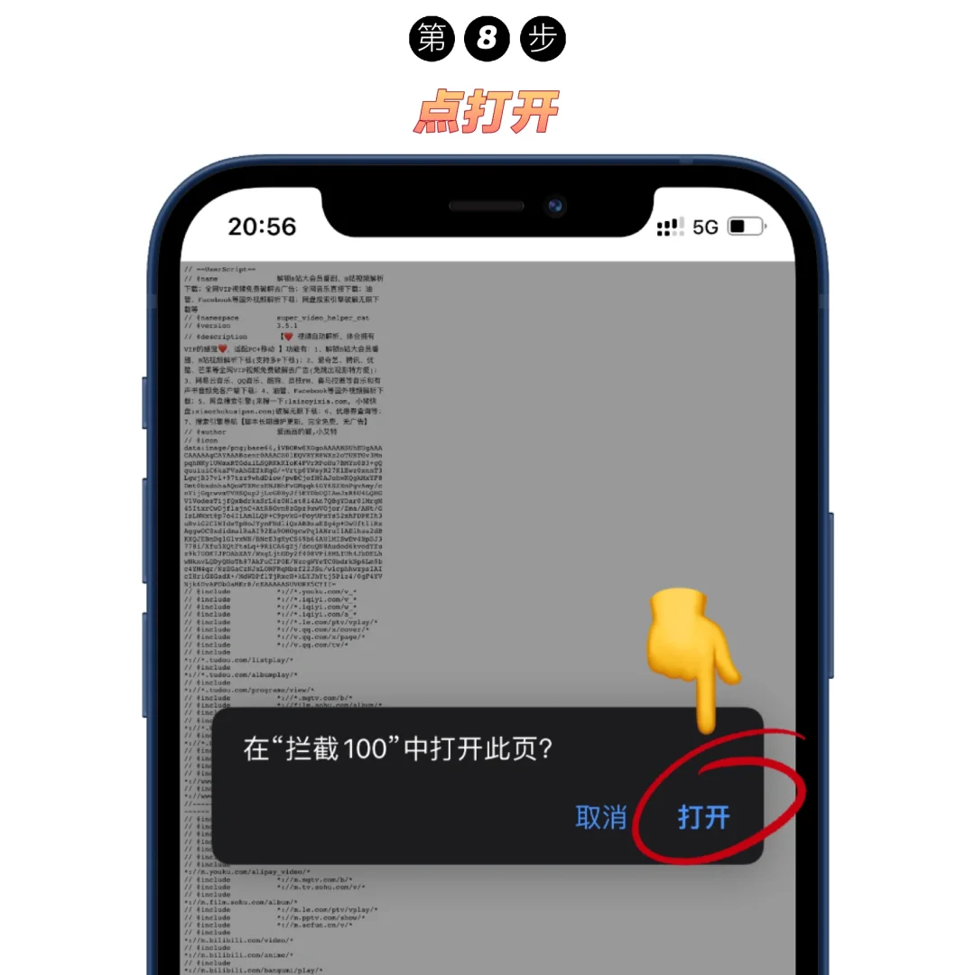 T.3｜「Safari扩展」拦截100安装使用教程