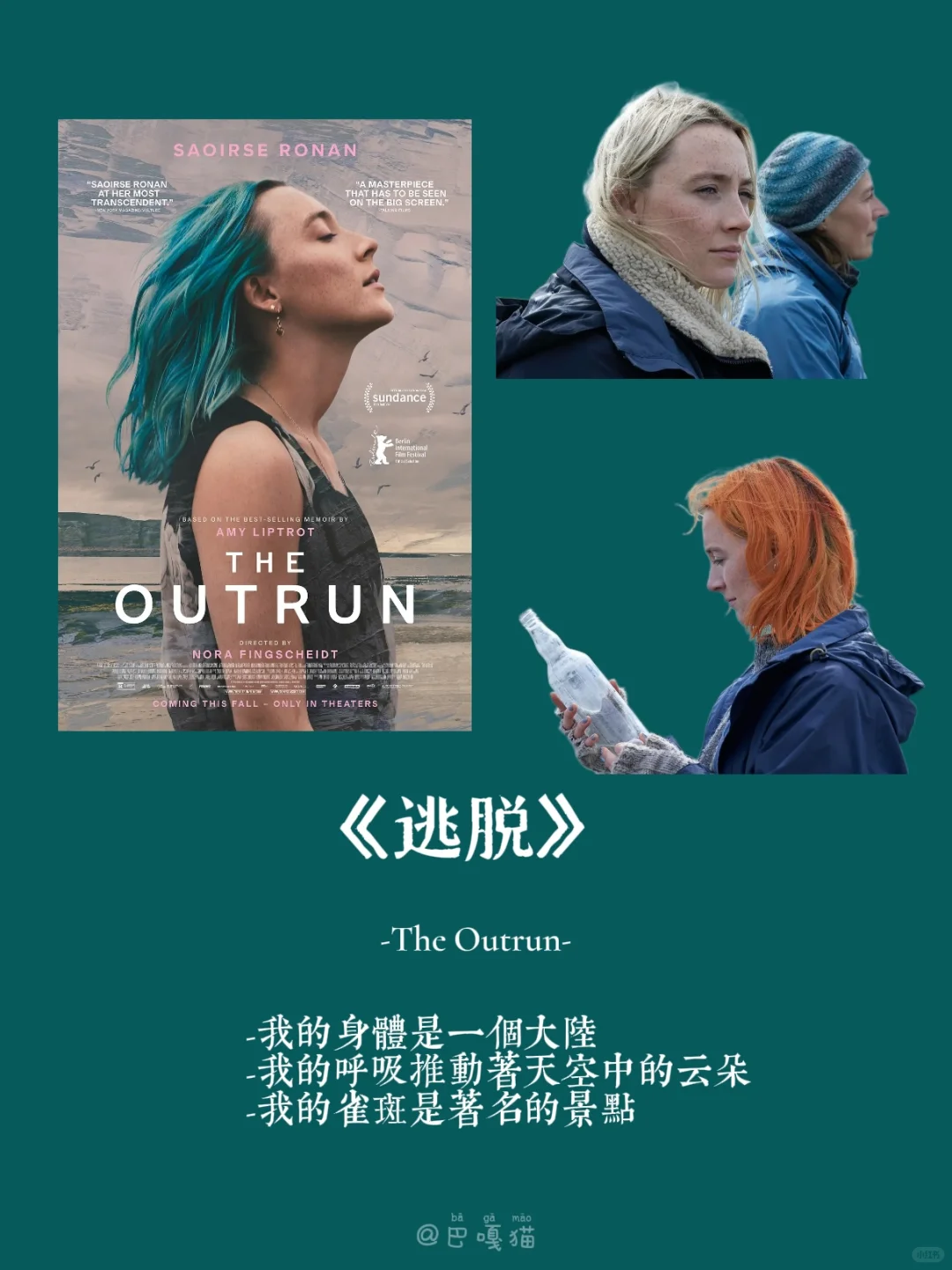 2024我的十部年度电影