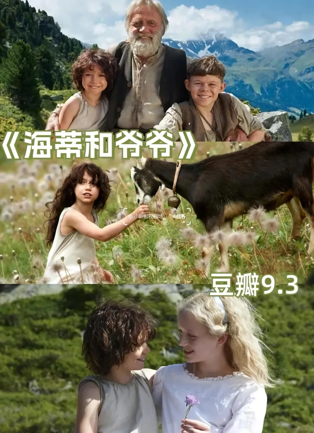 💫 必看治愈系电影合集，心都被暖化了！🎬