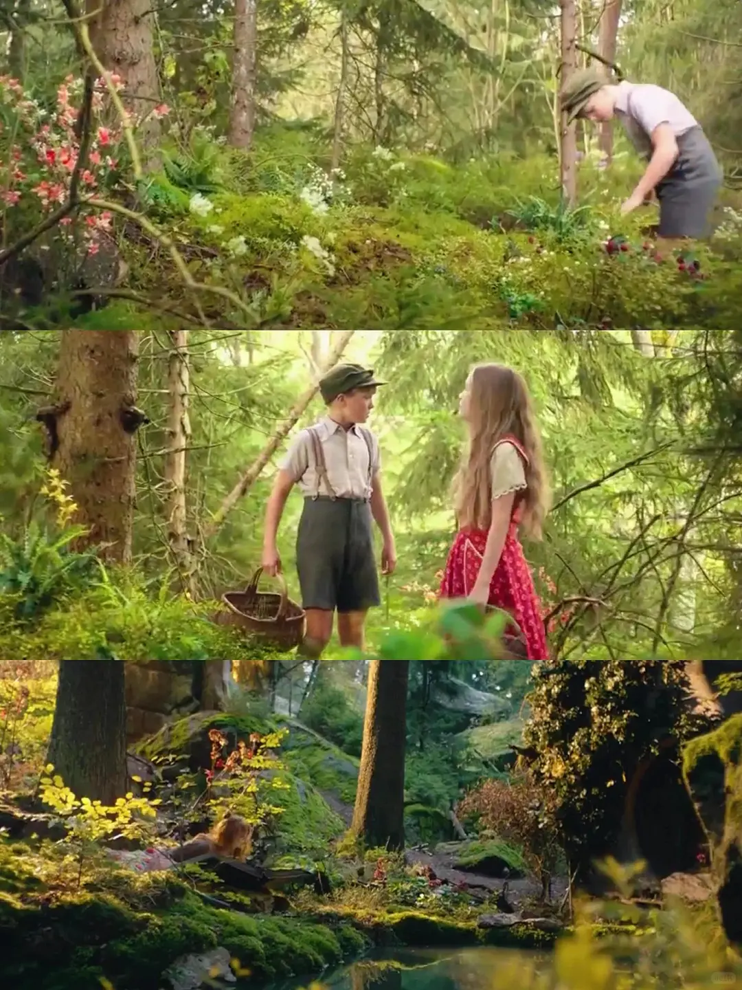 这么好看的电影我怎么才发现，太治愈了❗