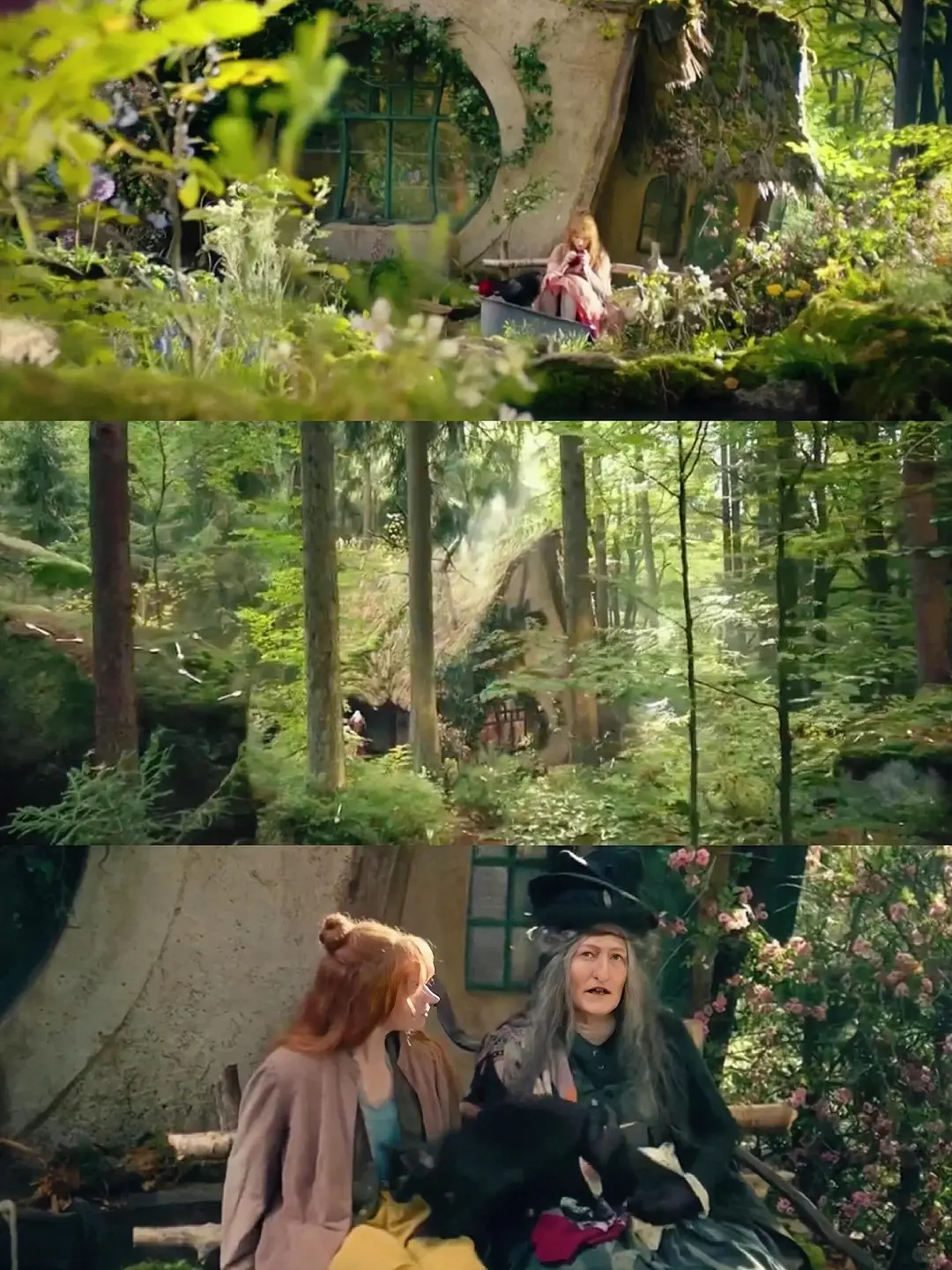 这么好看的电影我怎么才发现，太治愈了❗