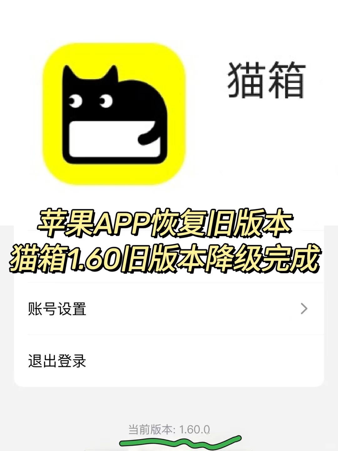 🤩宝子们，苹果手机APP真的可以恢复版本！