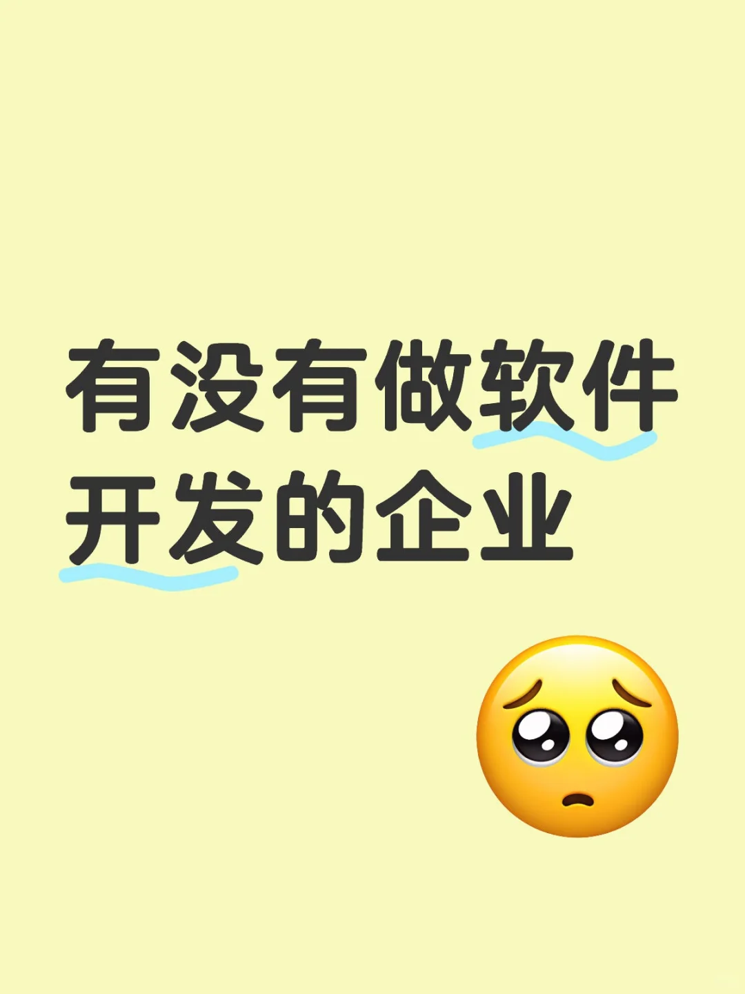有没有做软件开发的企业