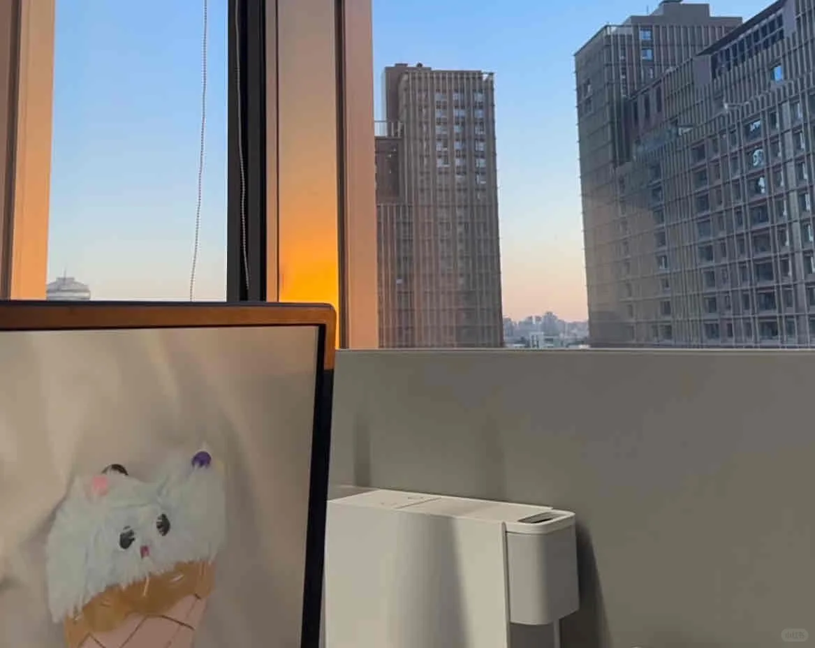 软测入职两周了，我悟了…