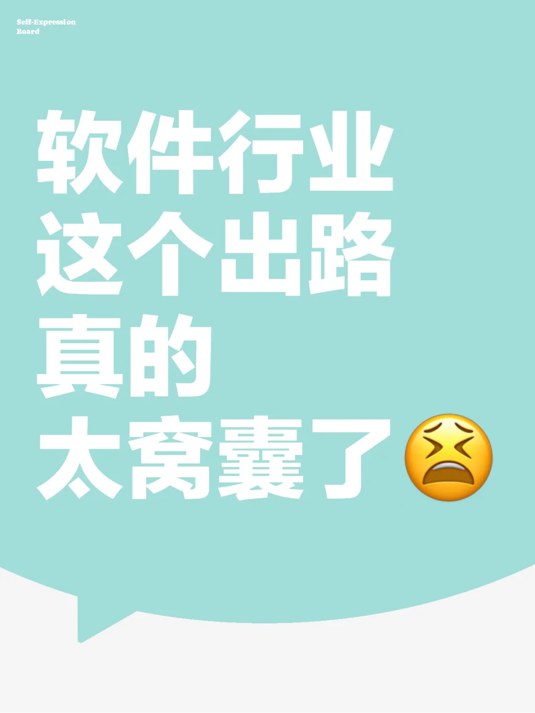 软件行业这个出路真的太窝囊了